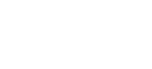 King Palm